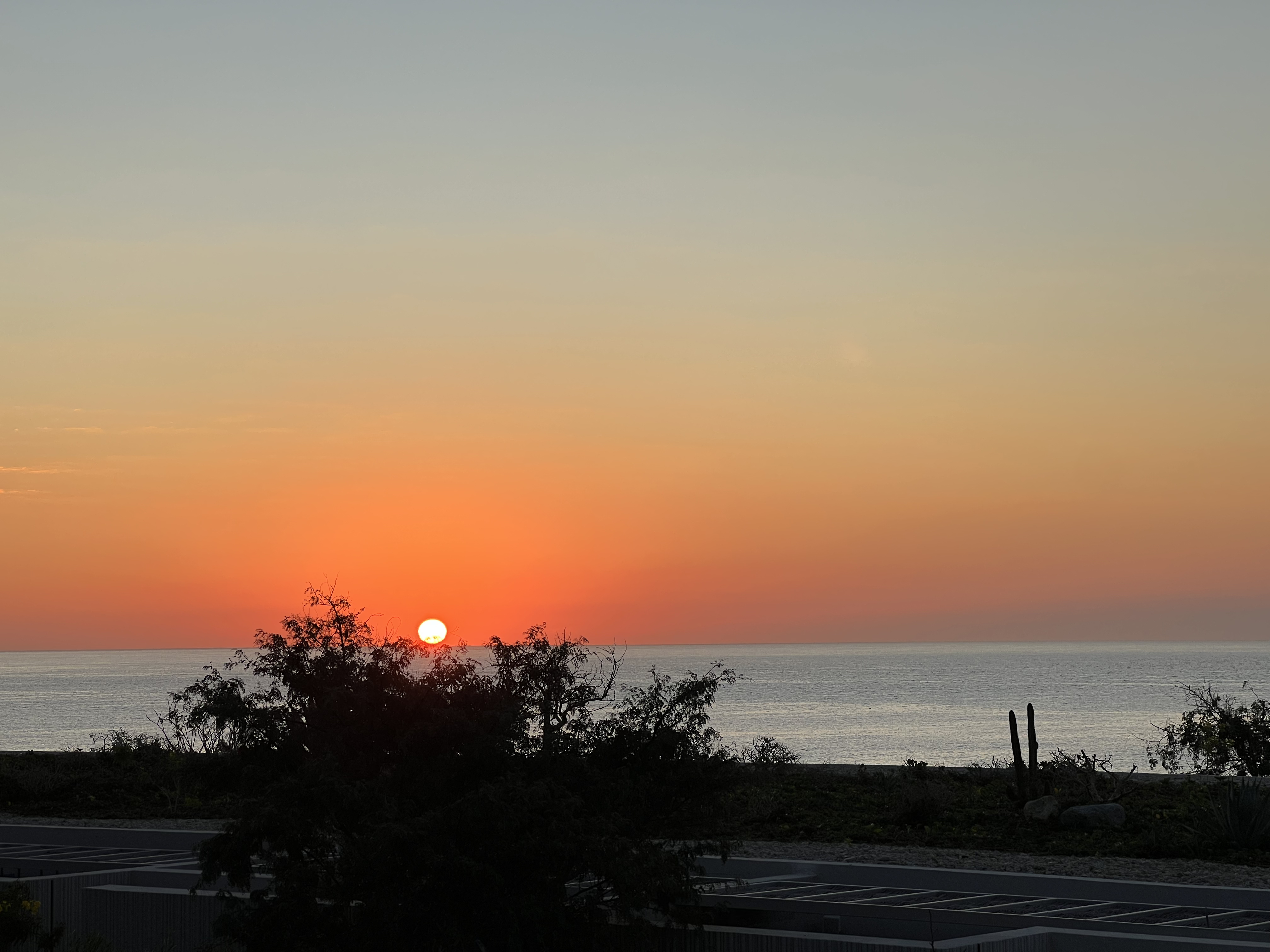 ./2024/13 - Cabo/IMG_4940.jpg